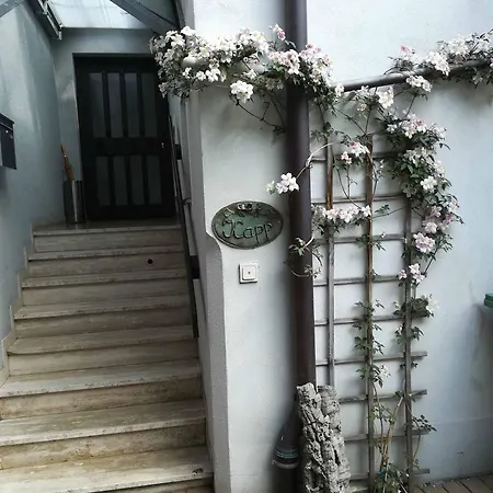 Galerie - Apartment *